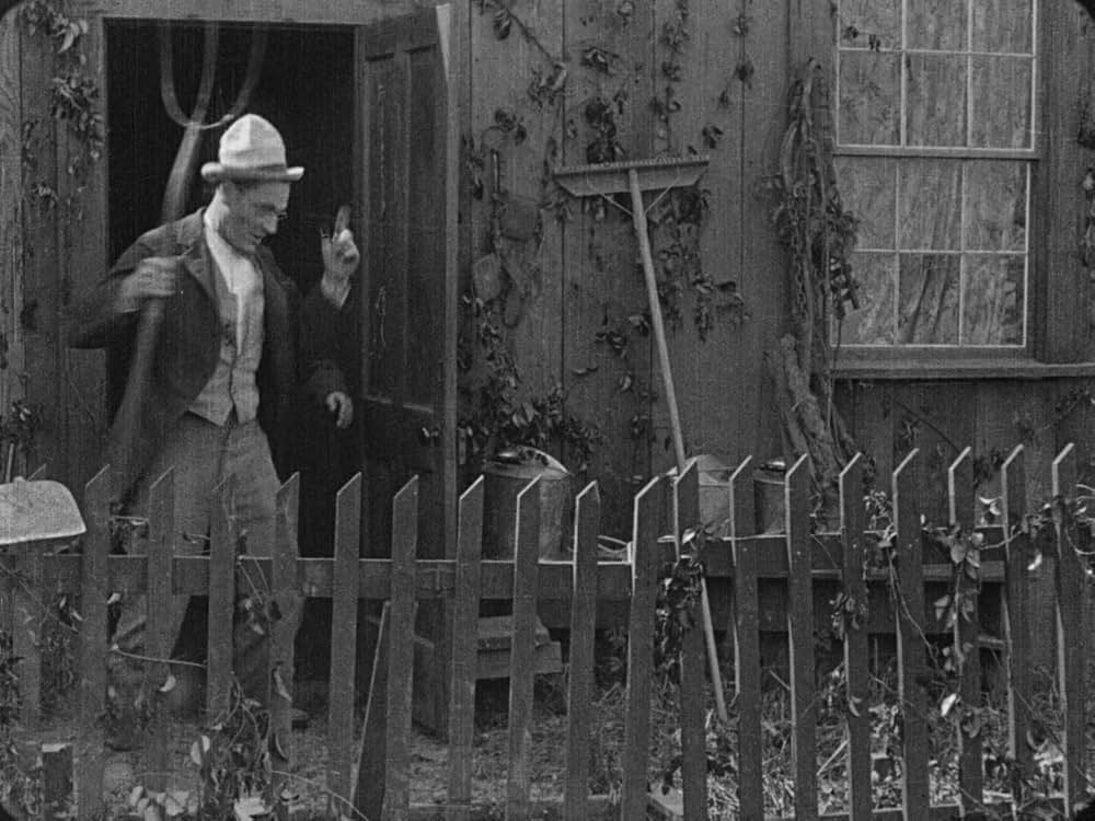 チャップリンの失恋の画像