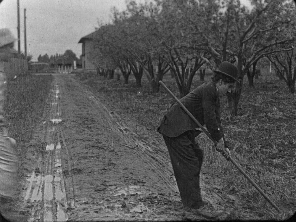 チャップリンの失恋の画像