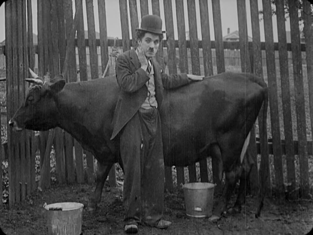 チャップリンの失恋の画像