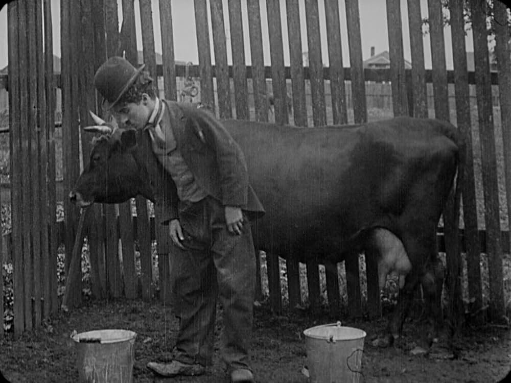 チャップリンの失恋の画像