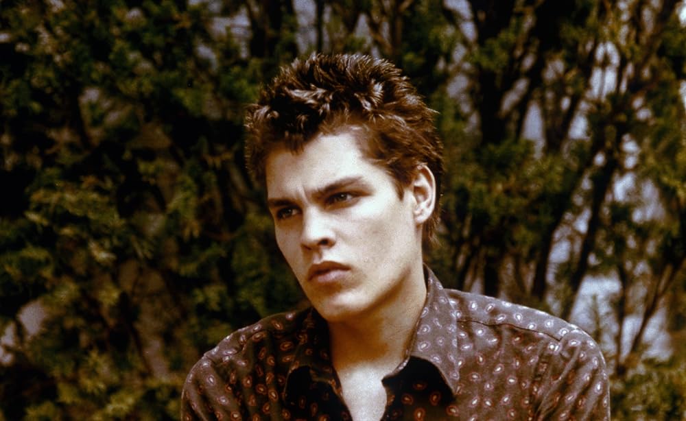 ポリエステルの画像