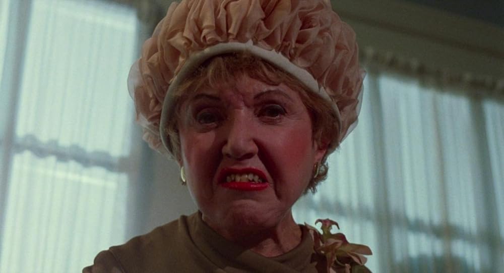 ポリエステルの画像