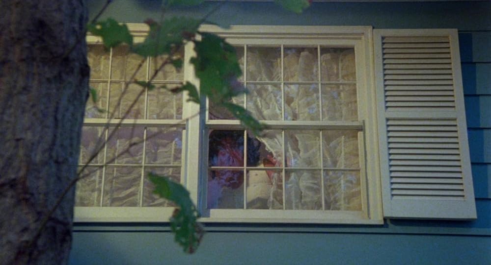 ポリエステルの画像