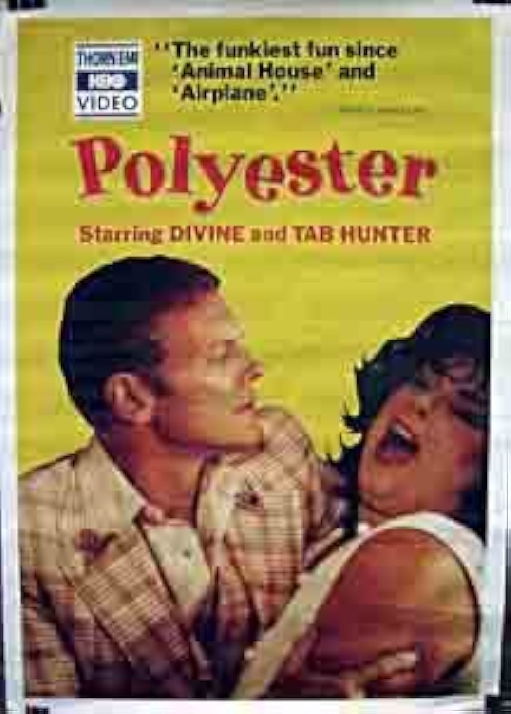 ポリエステルの画像