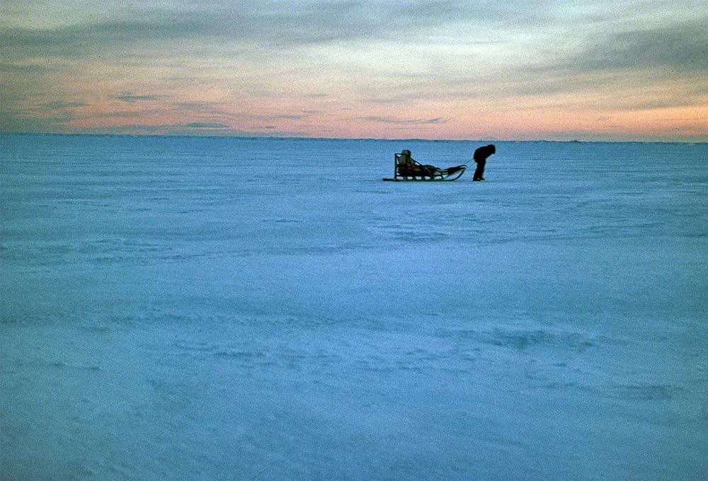 サーモンベリーズの画像