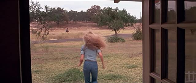 忍冬（すいかずら）の花のようにの画像