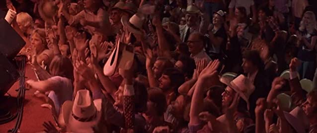 忍冬（すいかずら）の花のようにの画像