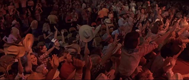 忍冬（すいかずら）の花のようにの画像