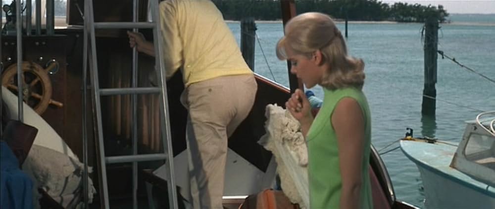 トニー・ローム／殺しの追跡の画像