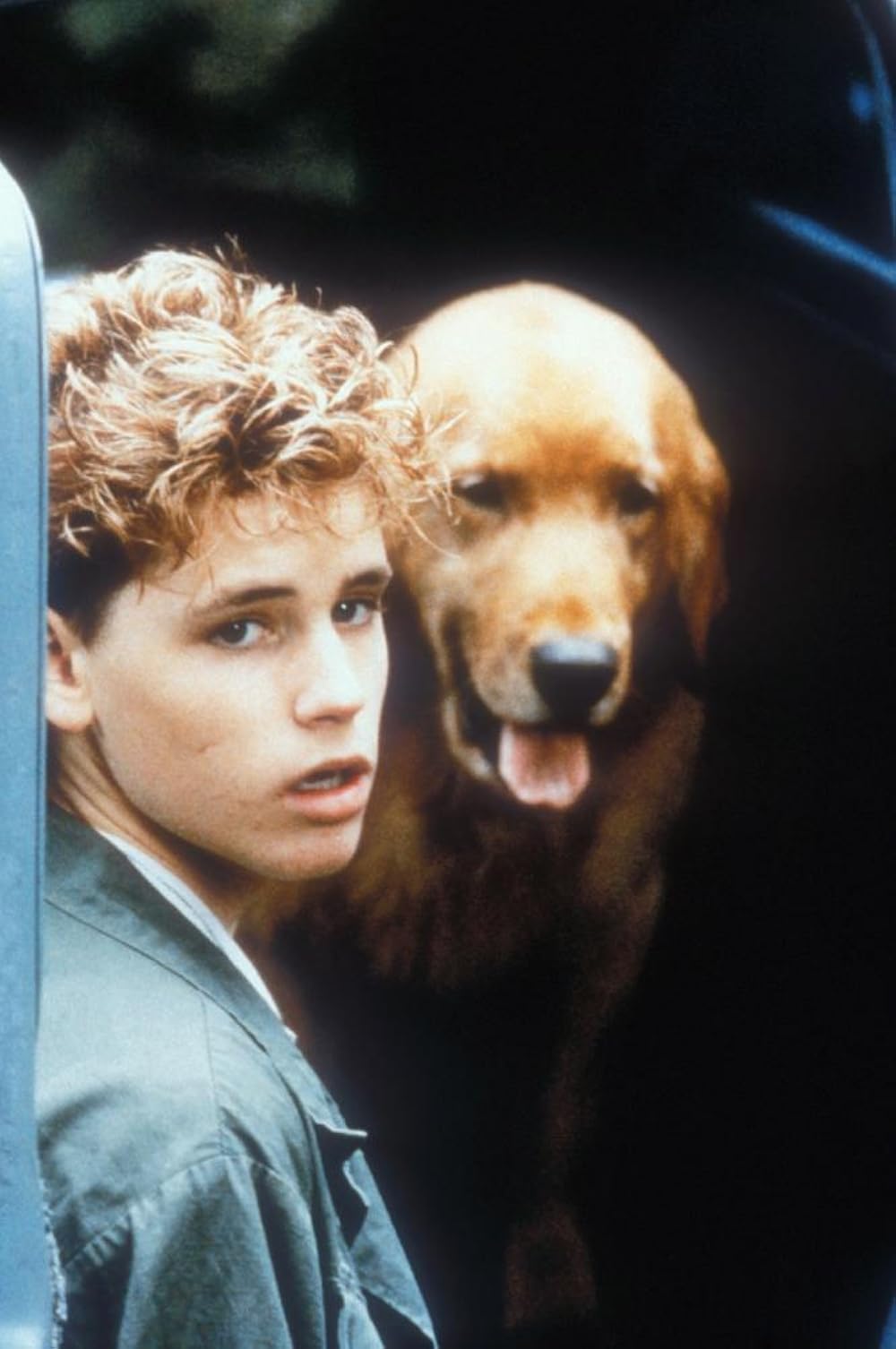 ウォッチャーズ／第3生命体の画像