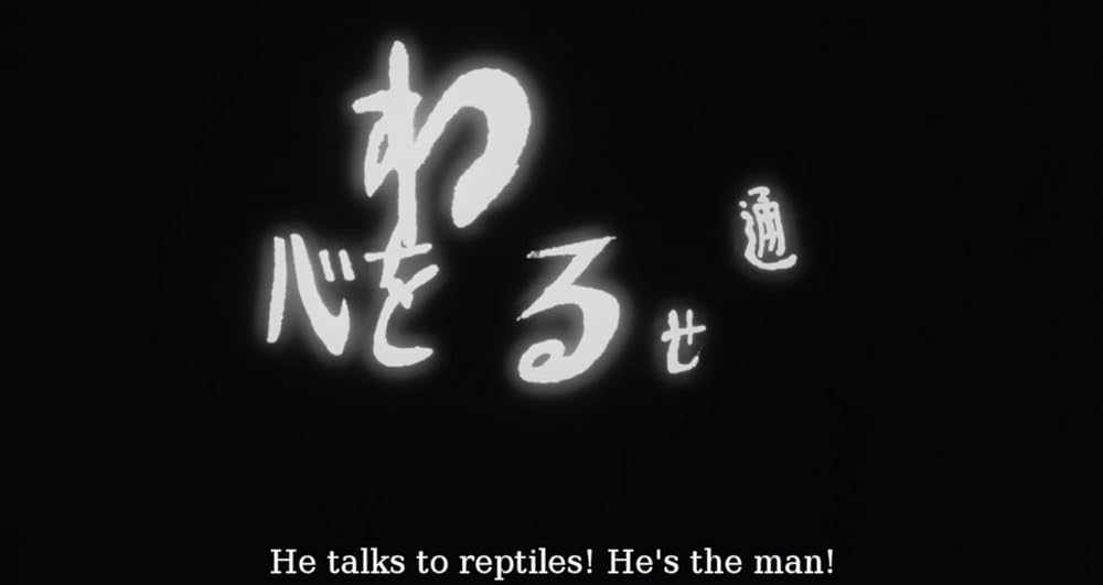 ELECTRIC DRAGON 80000Vの画像