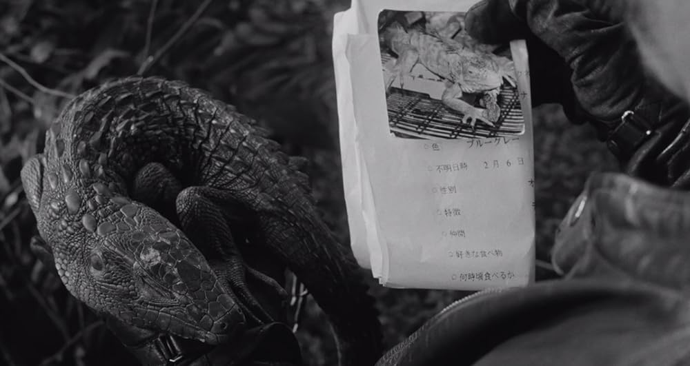 ELECTRIC DRAGON 80000Vの画像