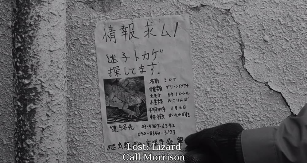 ELECTRIC DRAGON 80000Vの画像