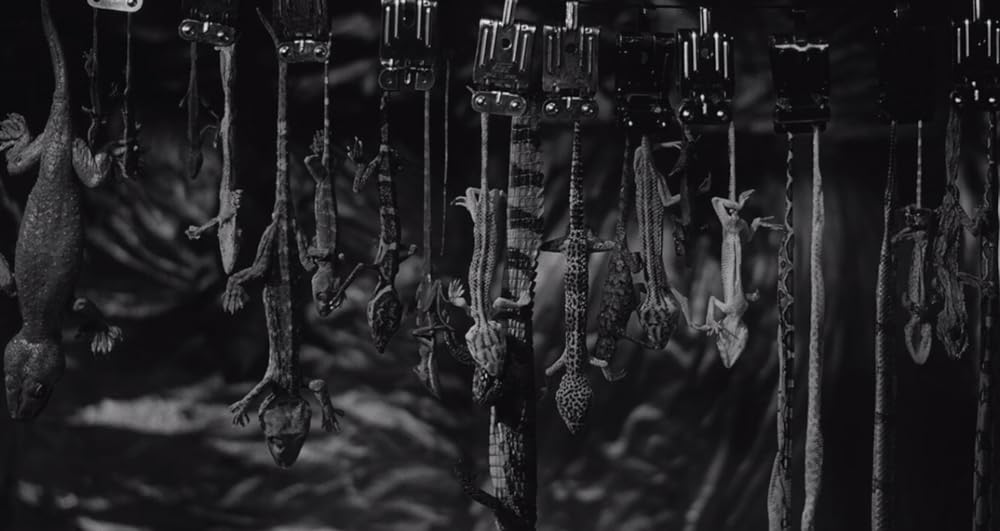 ELECTRIC DRAGON 80000Vの画像