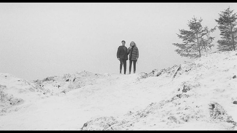 姿なき殺人者の画像