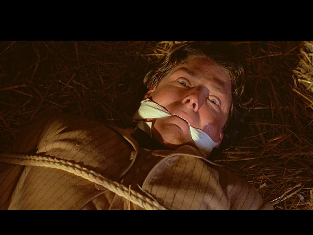 「ある日どこかで」クリストファー・リーブの画像