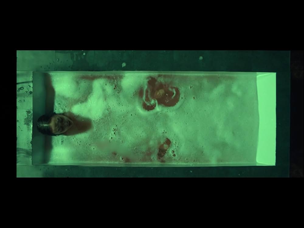 ハウスメイド 欲望のしもべの画像