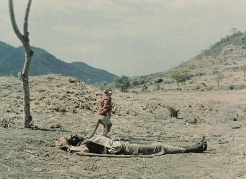 インディアの画像