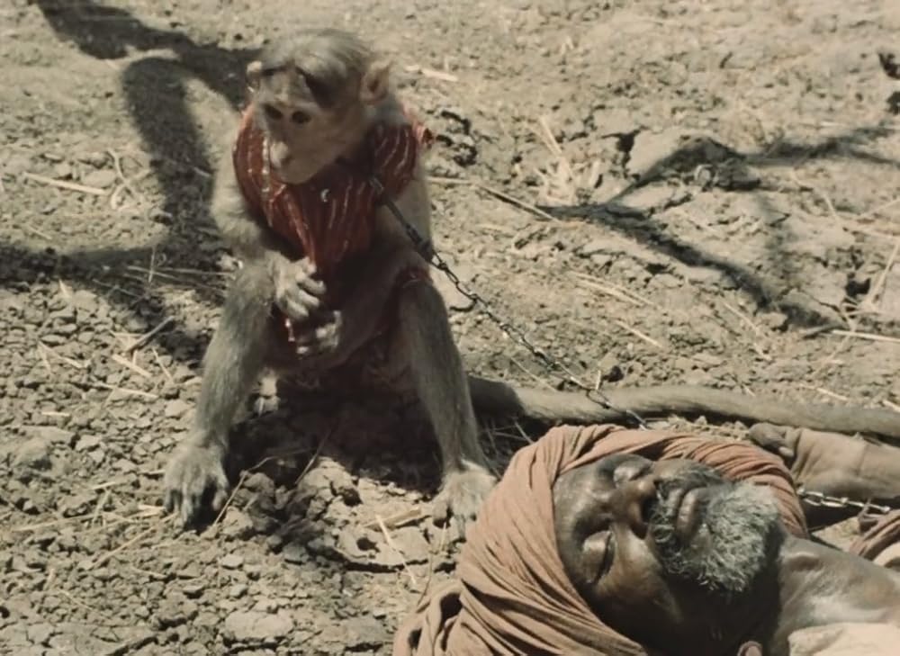 インディアの画像