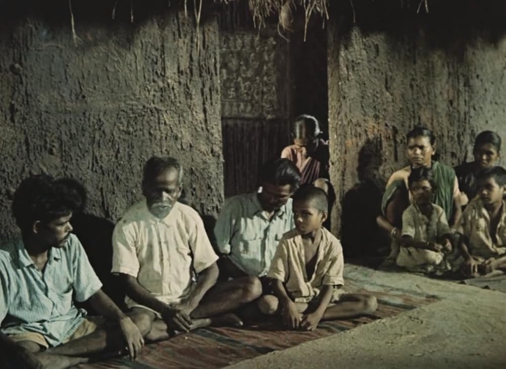 インディアの画像