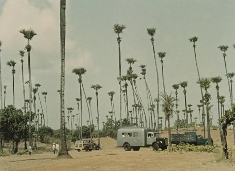 インディアの画像