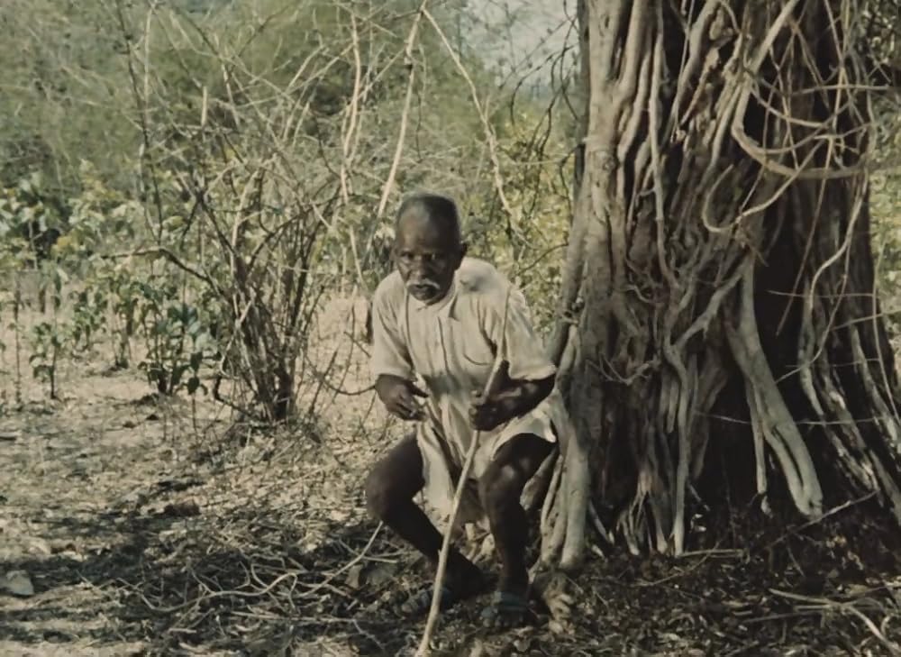 インディアの画像