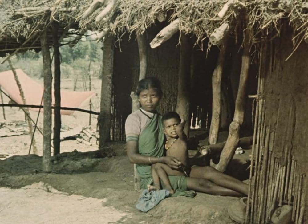 インディアの画像