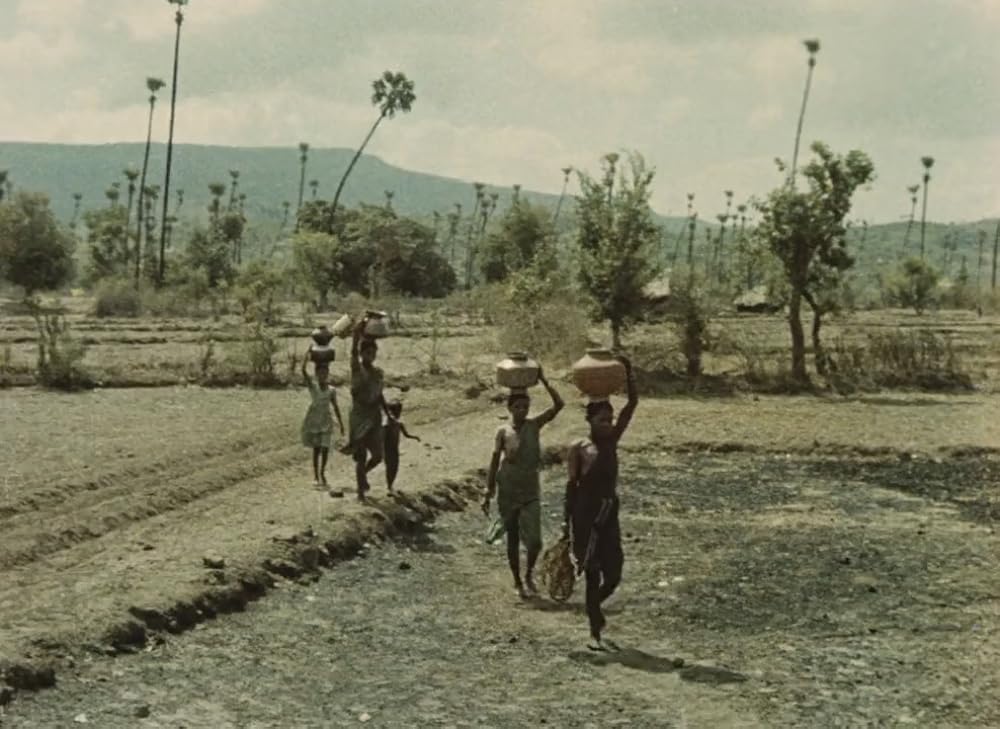 インディアの画像