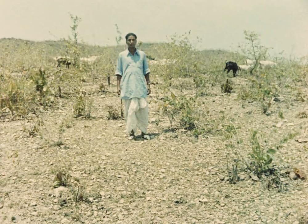 インディアの画像