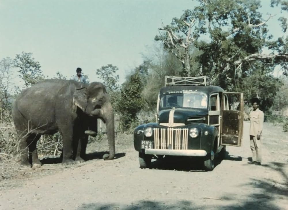 インディアの画像