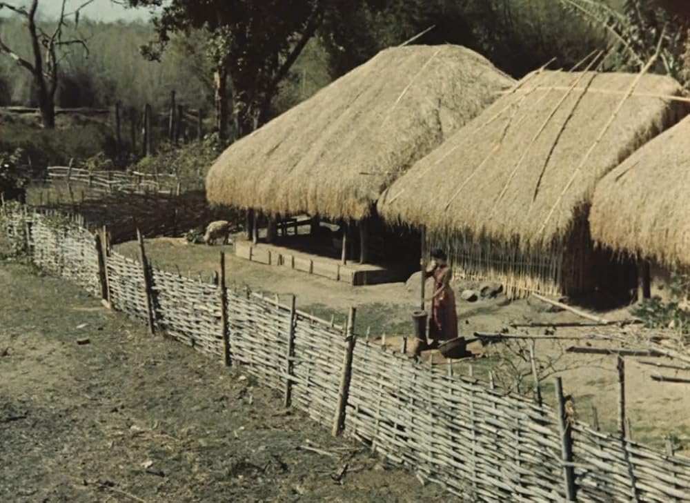 インディアの画像