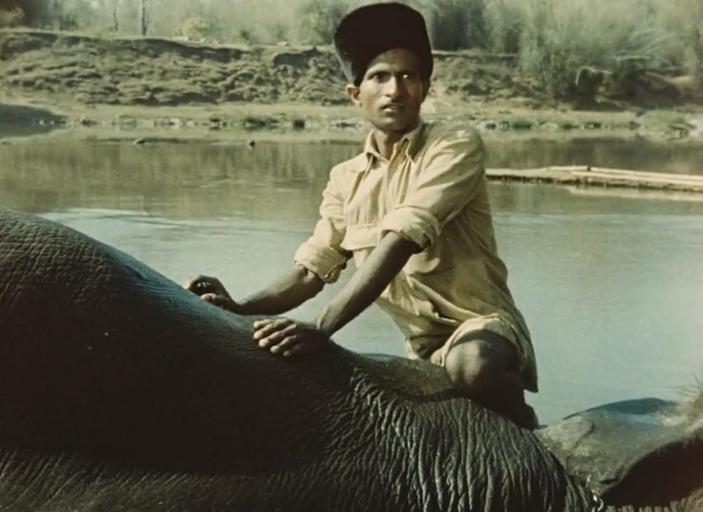 インディアの画像