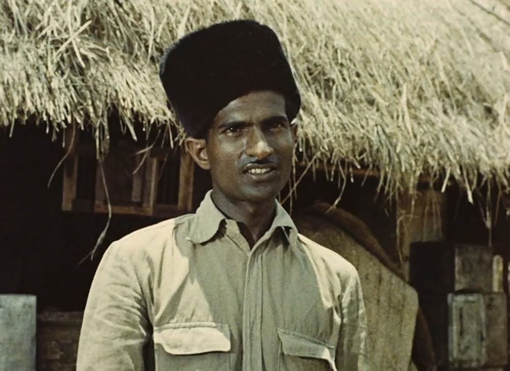 インディアの画像