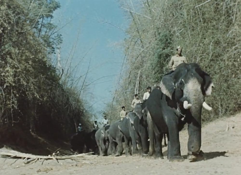 インディアの画像