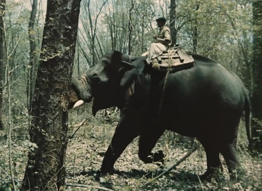 インディアの画像