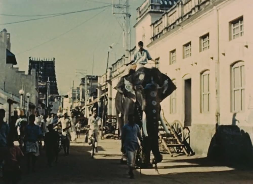 インディアの画像