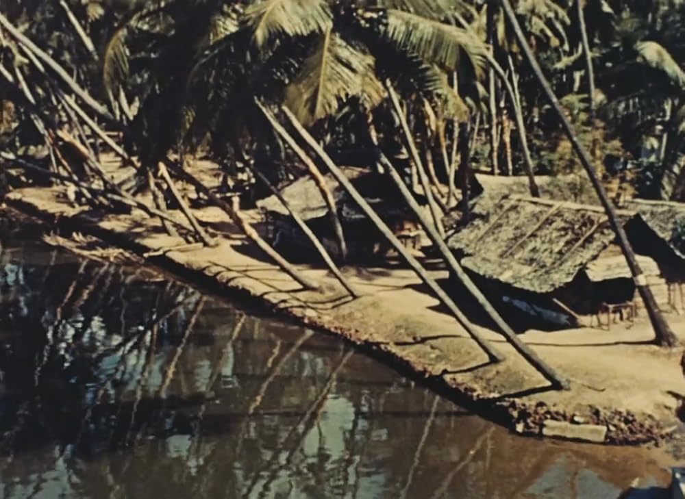 インディアの画像