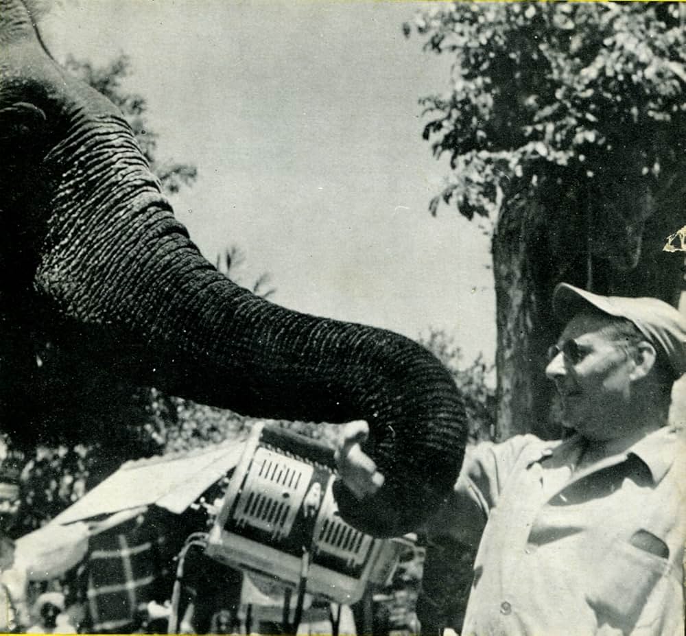 インディアの画像