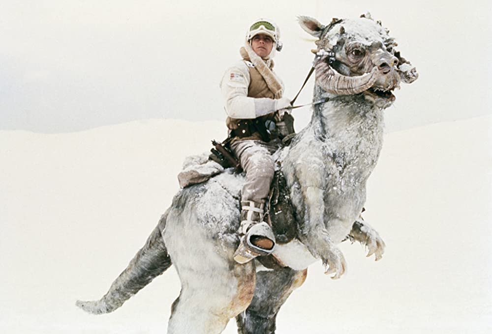 「スター・ウォーズ エピソード5／帝国の逆襲」マーク・ハミルの画像