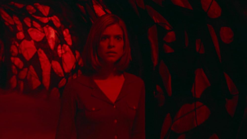 ウェス・クレイヴンズ ウィッシュマスターの画像