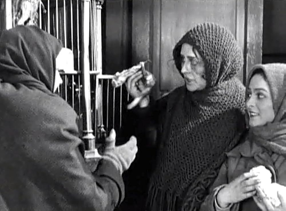 アエリータの画像