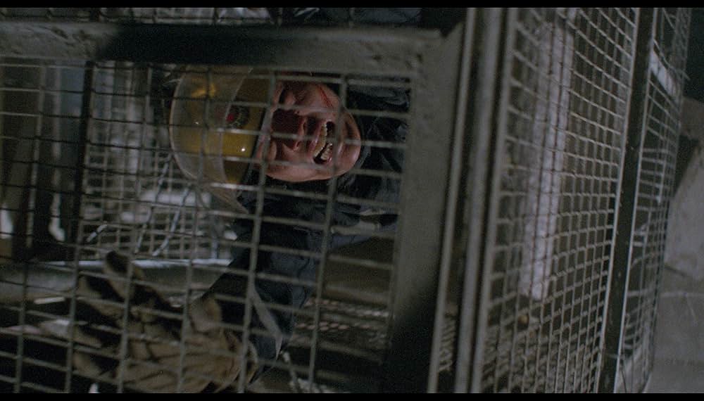 ファイヤーラインの画像