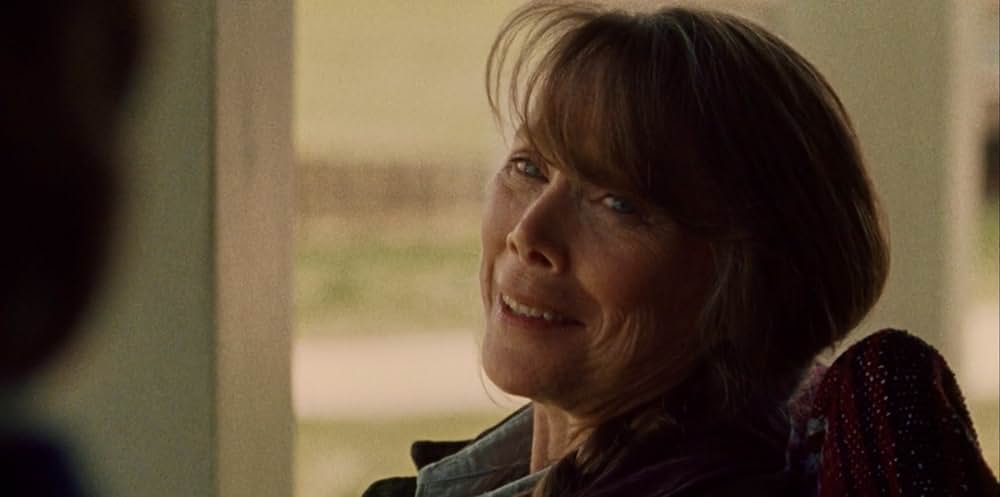 さらば愛しきアウトローの画像