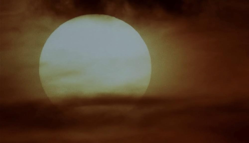 ミクロコスモスの画像