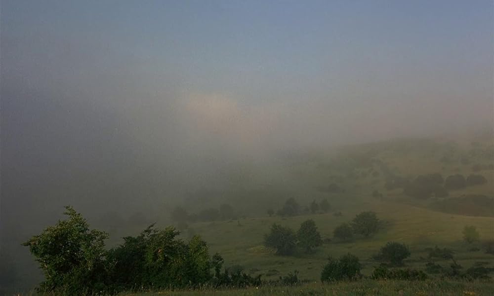 ミクロコスモスの画像