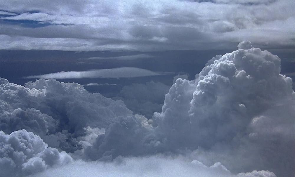 ミクロコスモスの画像