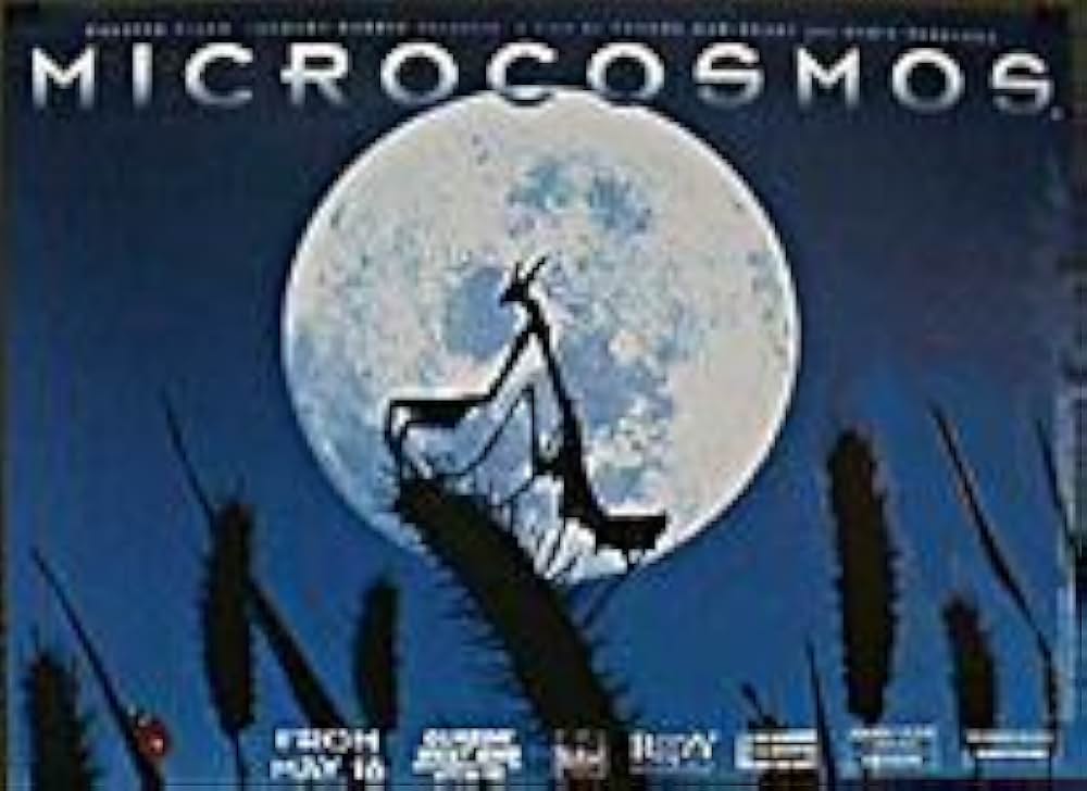 ミクロコスモスの画像