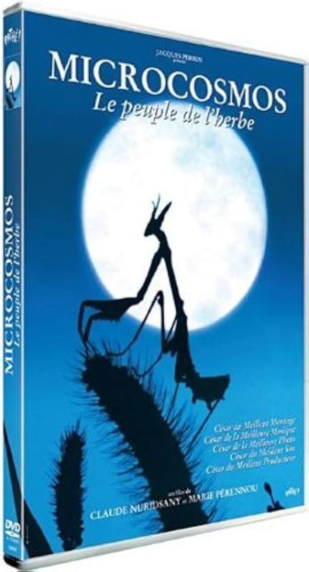 ミクロコスモスの画像