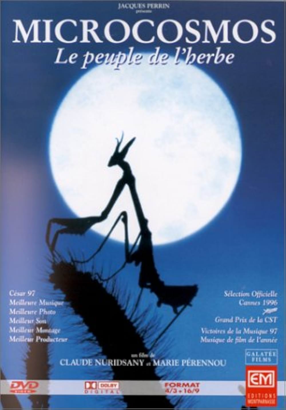 ミクロコスモスの画像