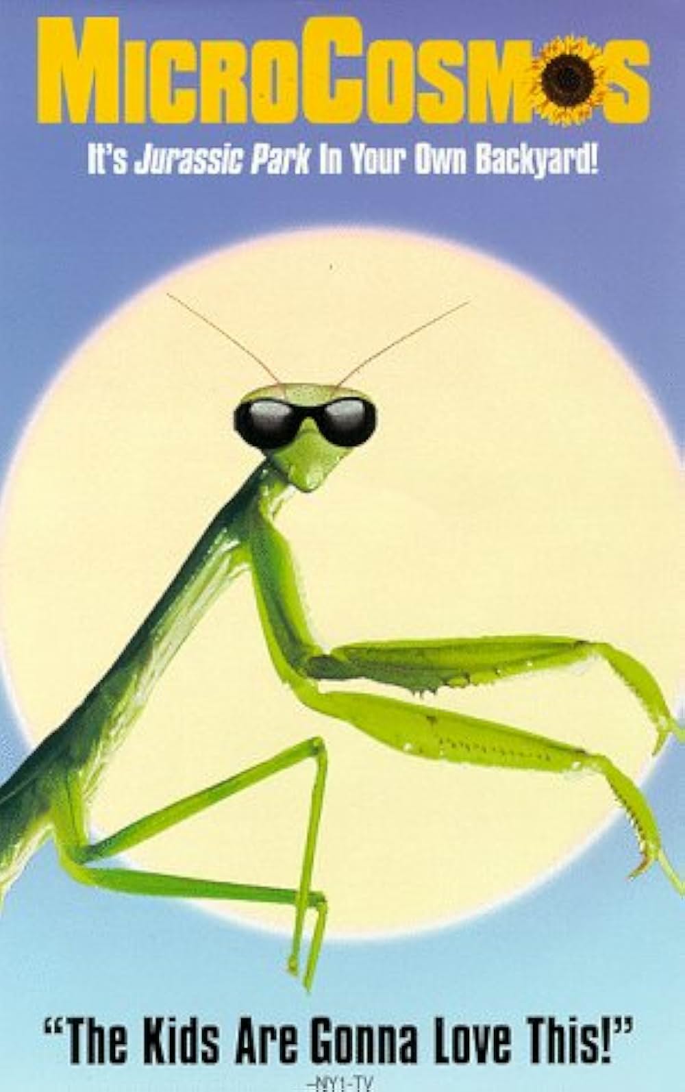 ミクロコスモスの画像